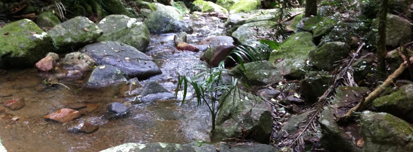 Pathway to Wholeness